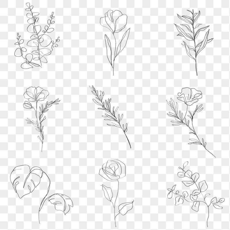 Minimalist Plant Drawing Wallpapers