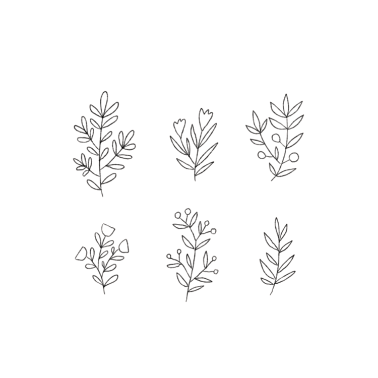 Minimalist Plant Drawing Wallpapers