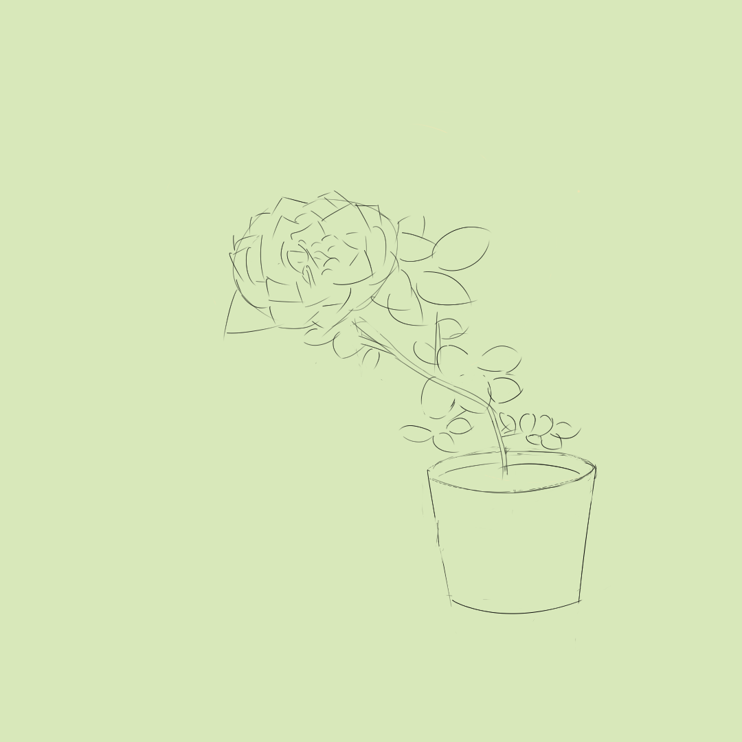 Minimalist Plant Drawing Wallpapers