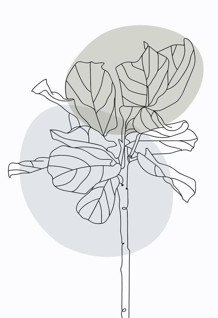 Minimalist Plant Drawing Wallpapers