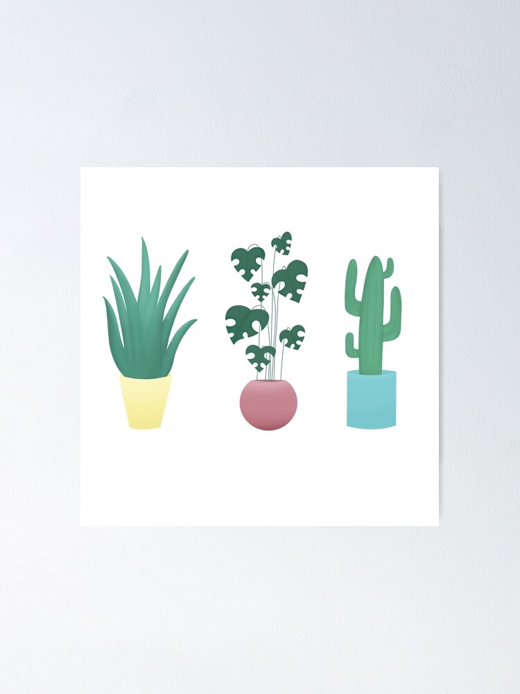 Minimalist Plant Drawing Wallpapers