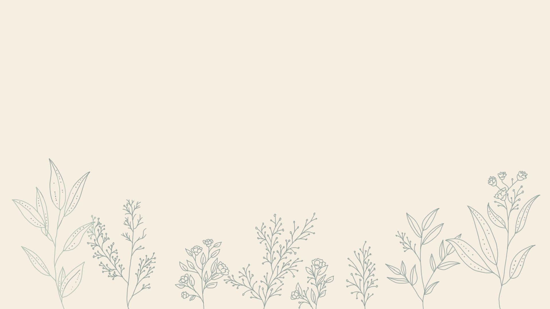 Minimalist Plant Drawing Wallpapers