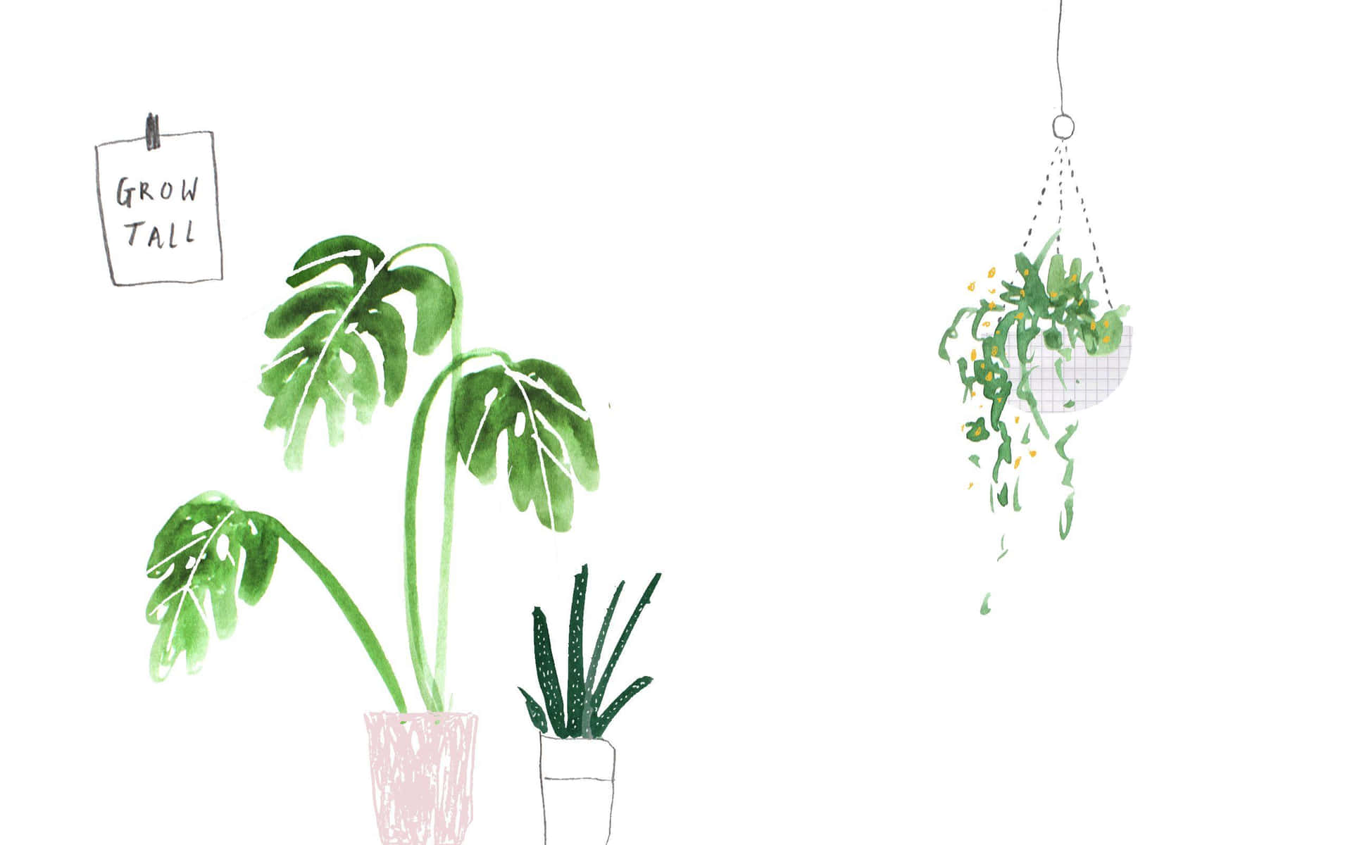 Minimalist Plant Drawing Wallpapers