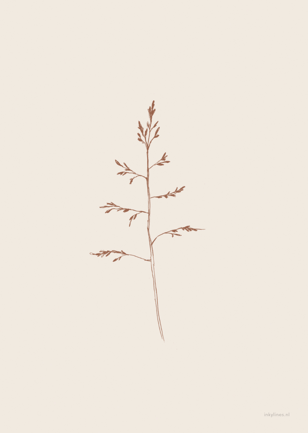 Minimalist Plant Drawing Wallpapers