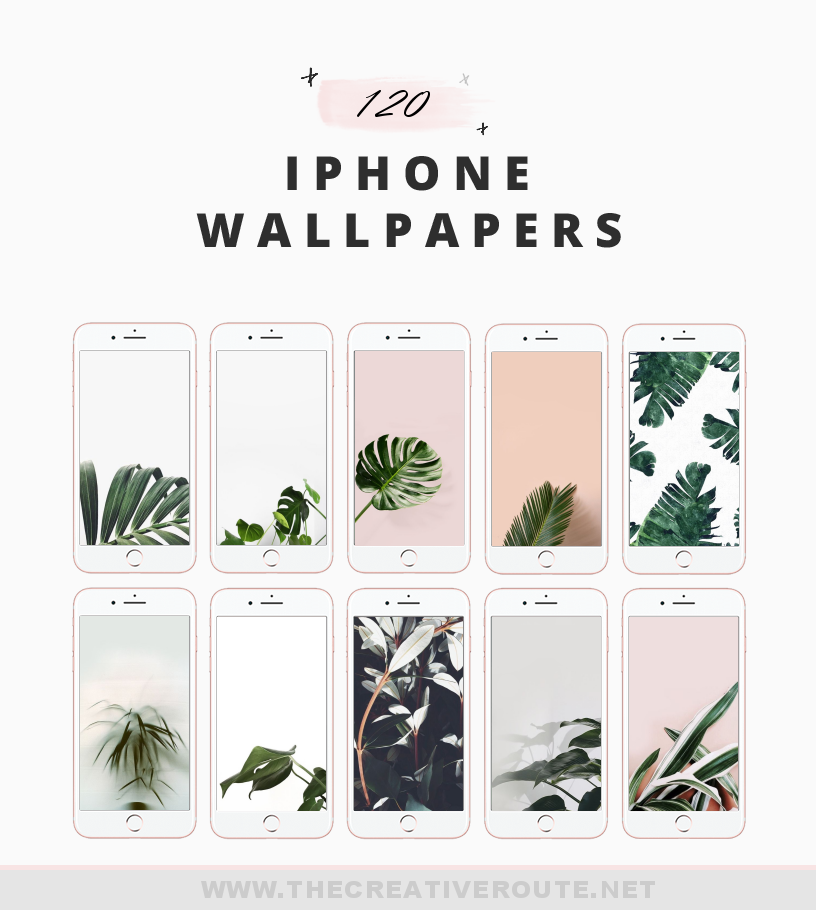 Minimalist Plant Wallpapers