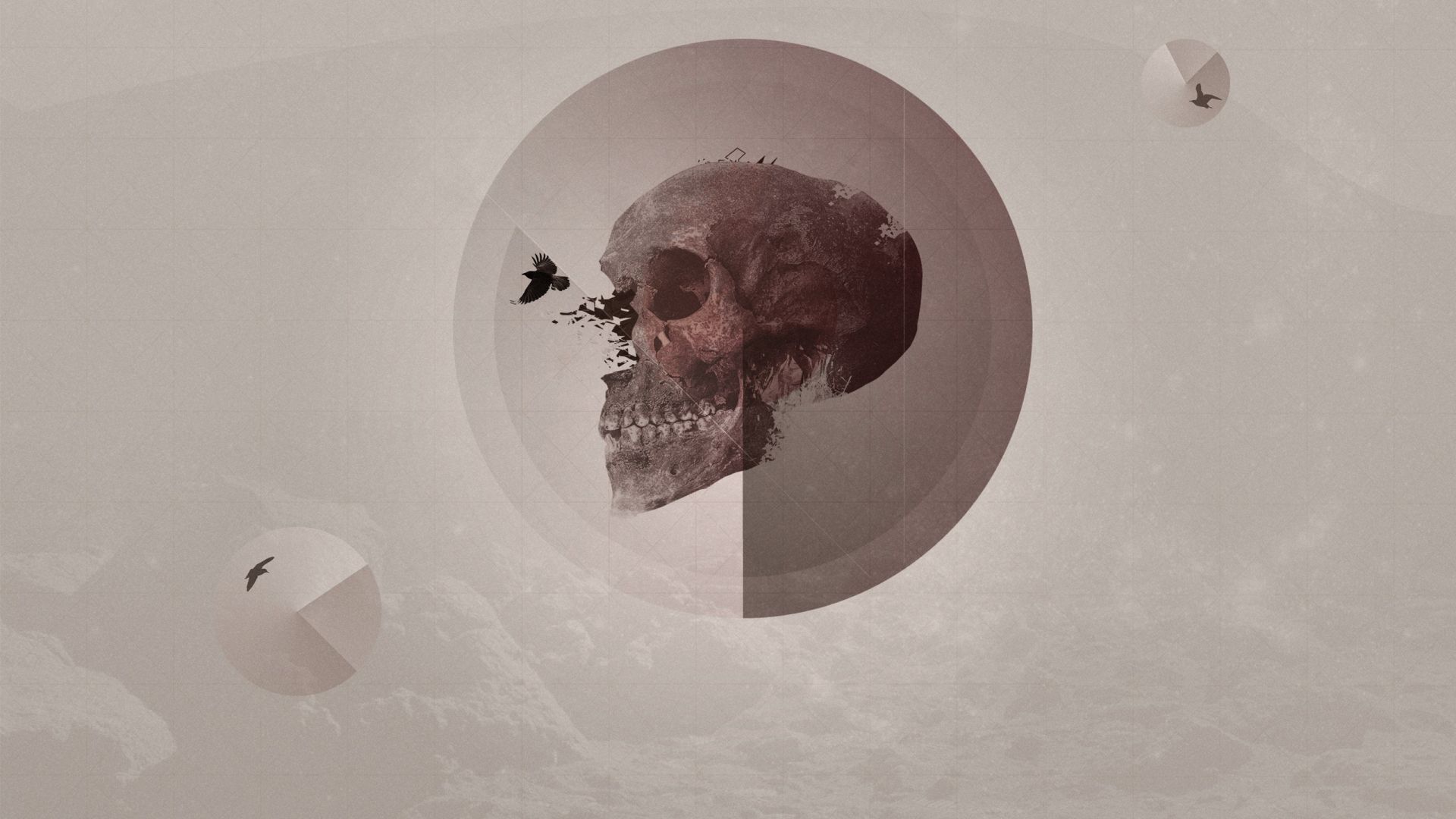 Minimalist Skull Wallpapers