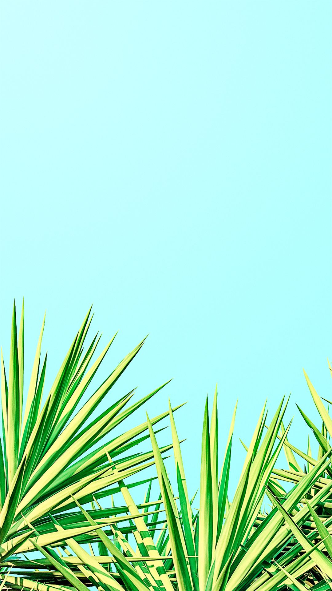 Minimalist Summer Wallpapers