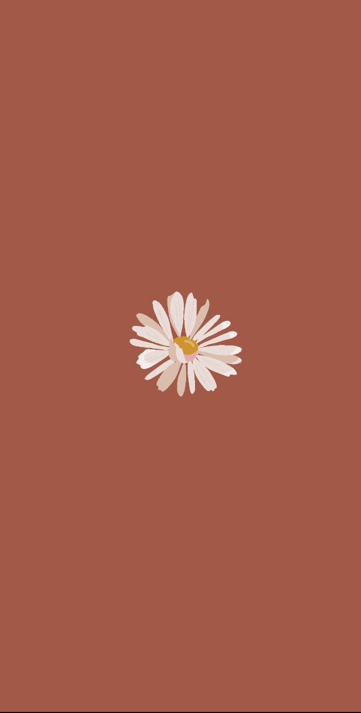 Minimalist Vintage Aesthetic Wallpapers