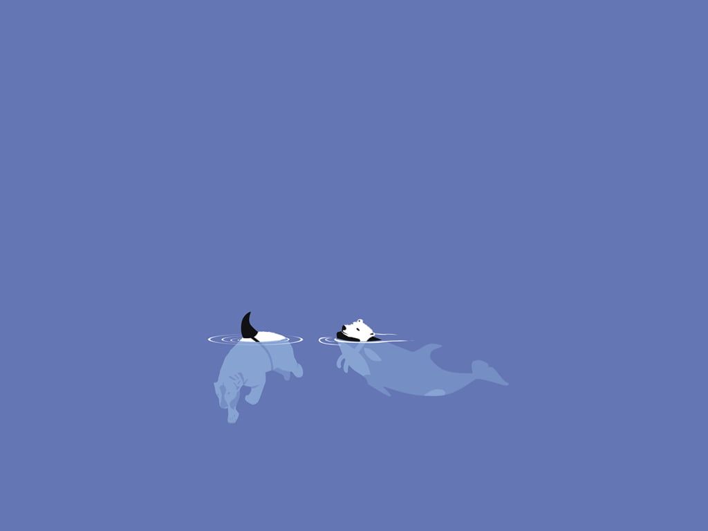 Minimalist Whale Wallpapers