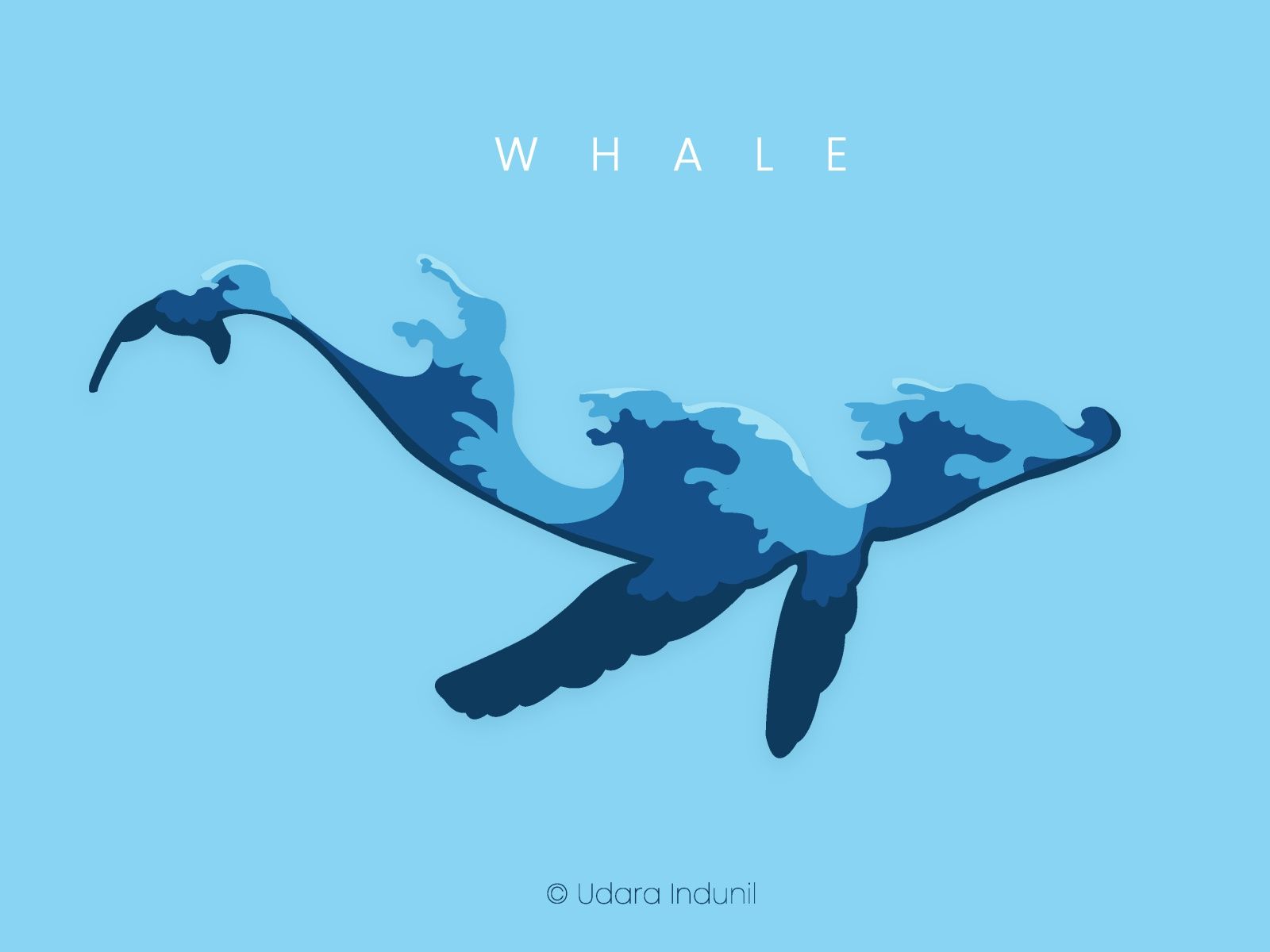 Minimalist Whale Wallpapers