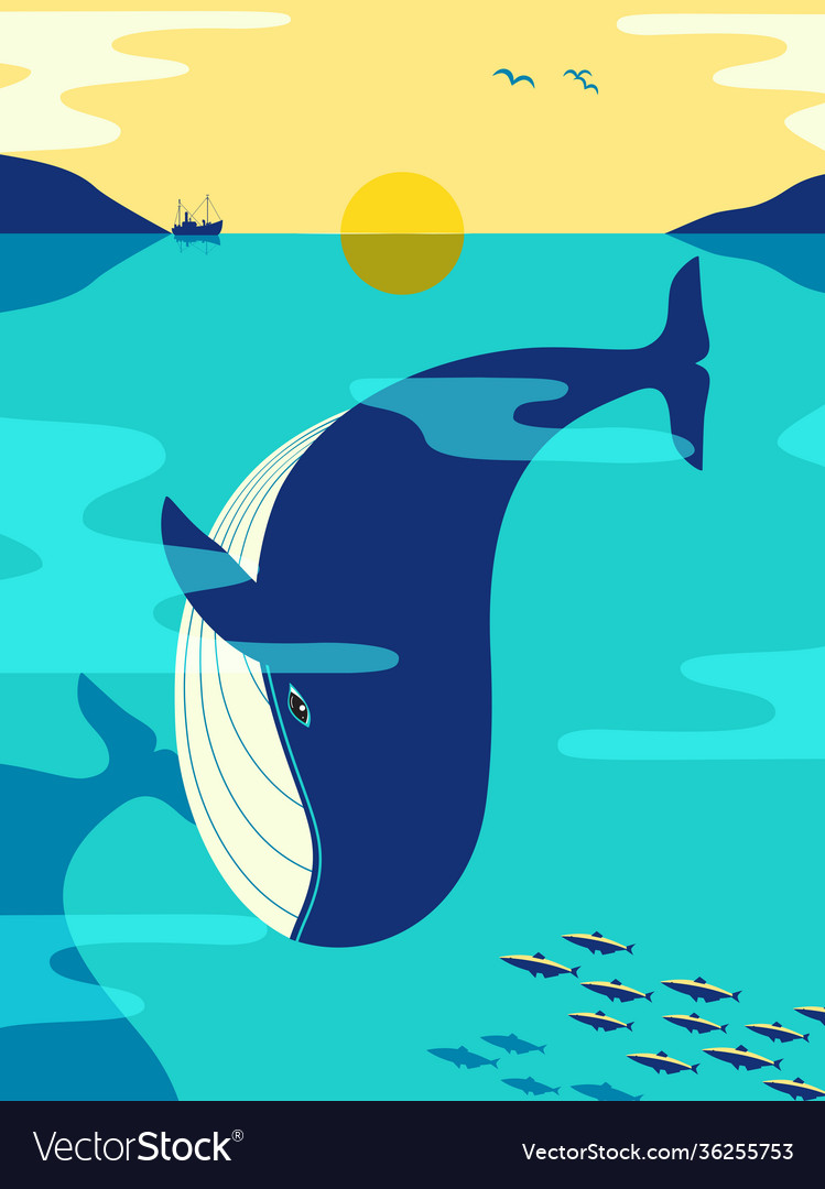 Minimalist Whale Wallpapers