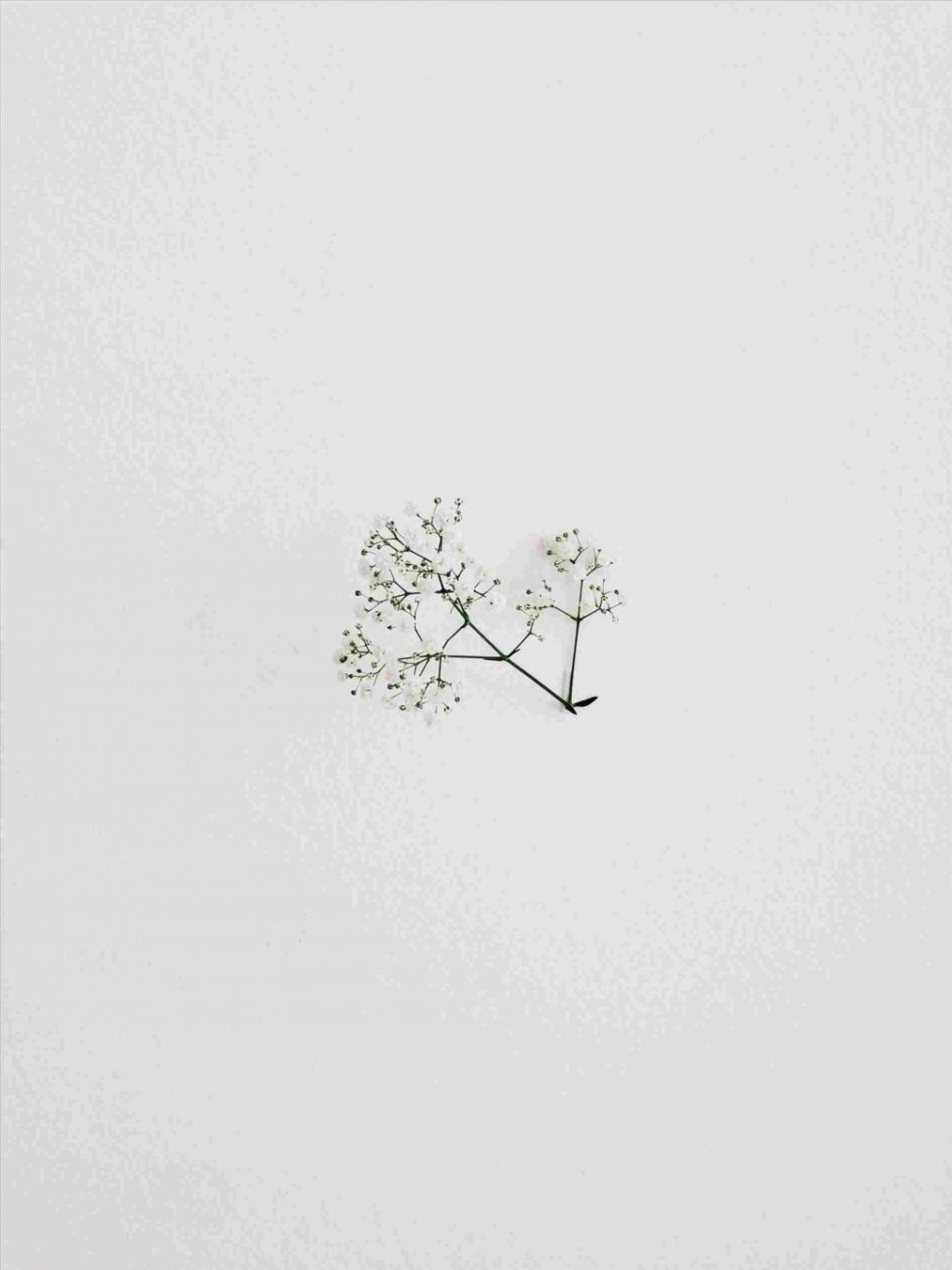 Minimalist White Aesthetic Wallpapers