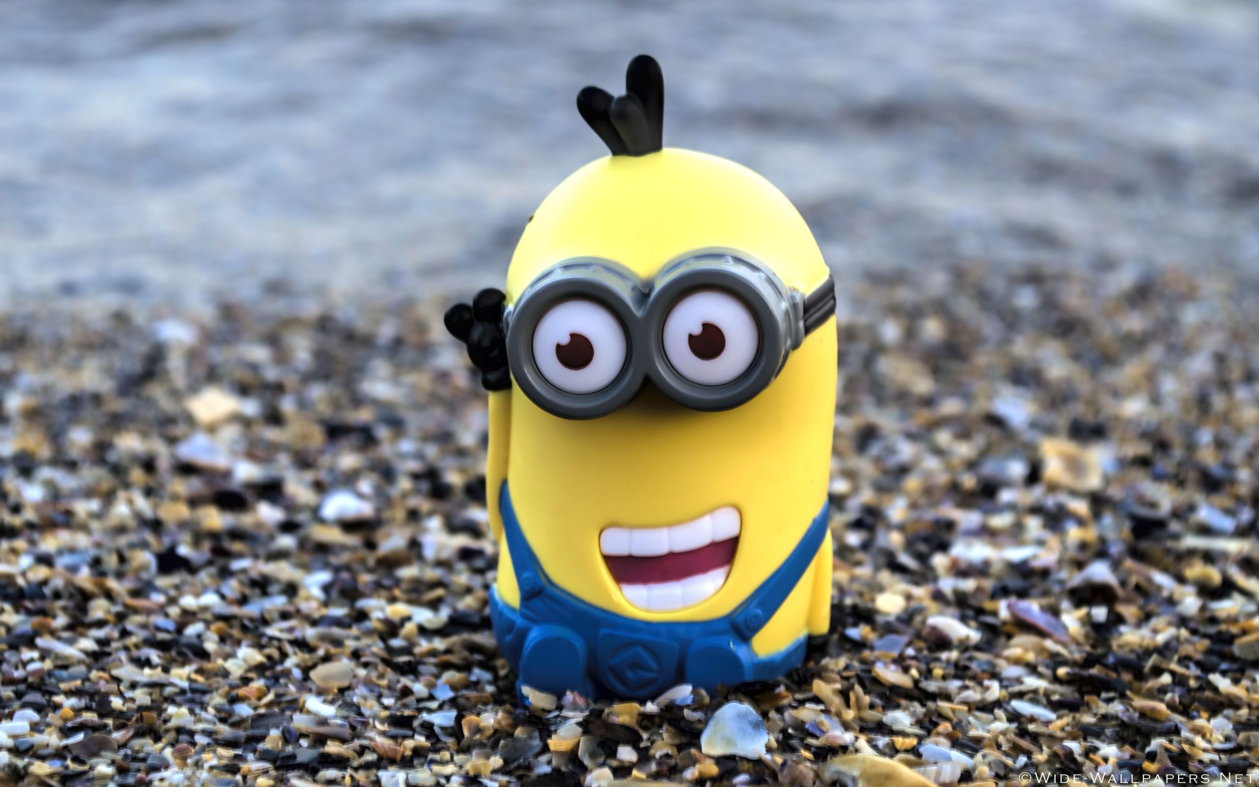 Minion Computer Wallpapers