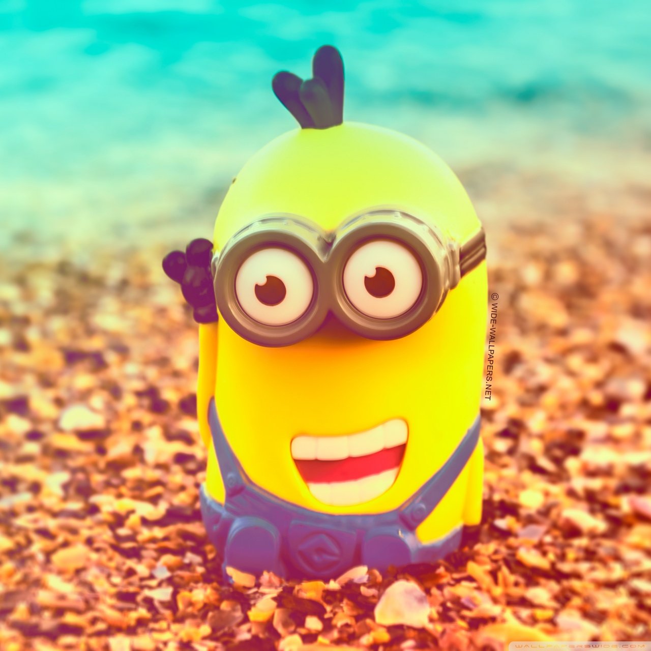 Minion In Gym Wallpapers