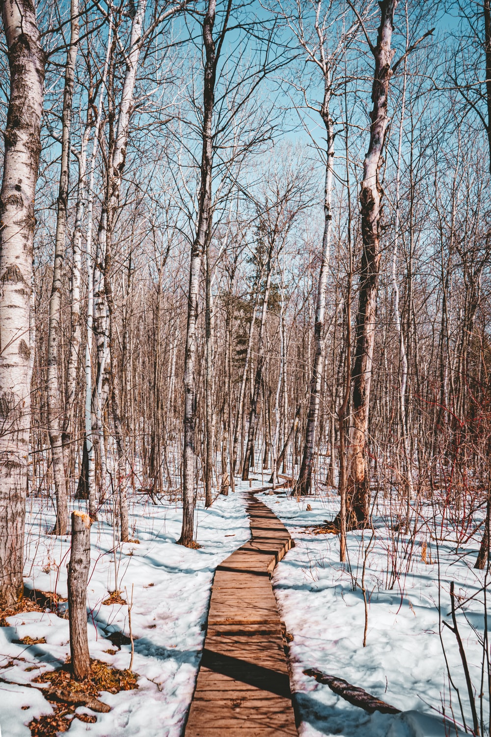 Minnesota Winter Wallpapers