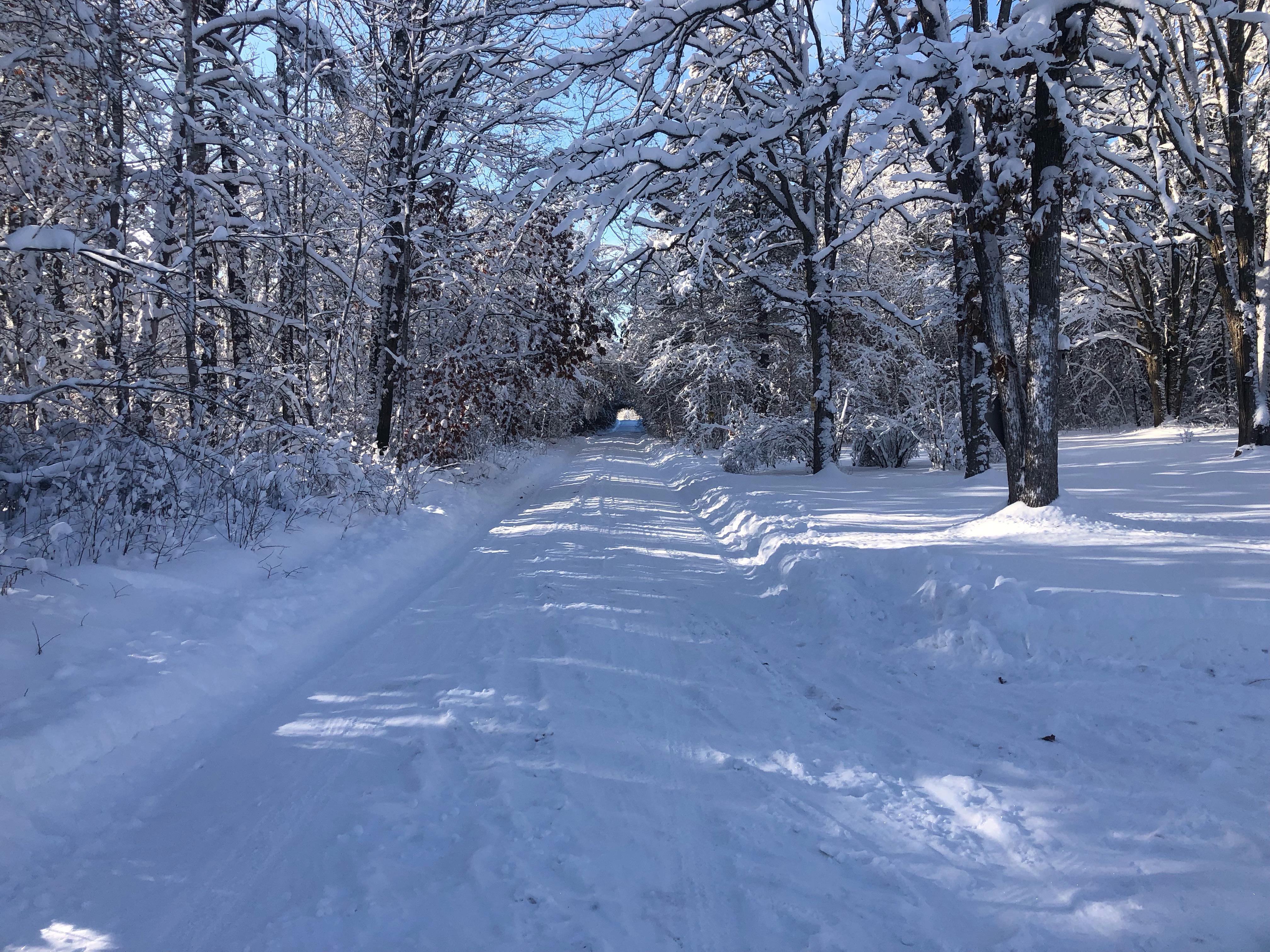 Minnesota Winter Wallpapers