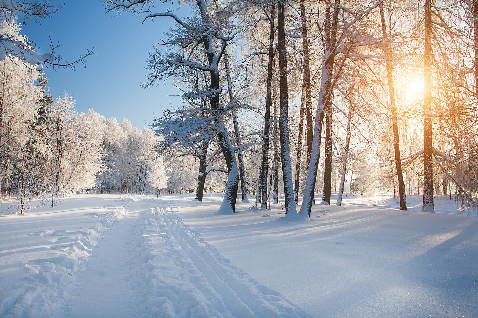 Minnesota Winter Wallpapers