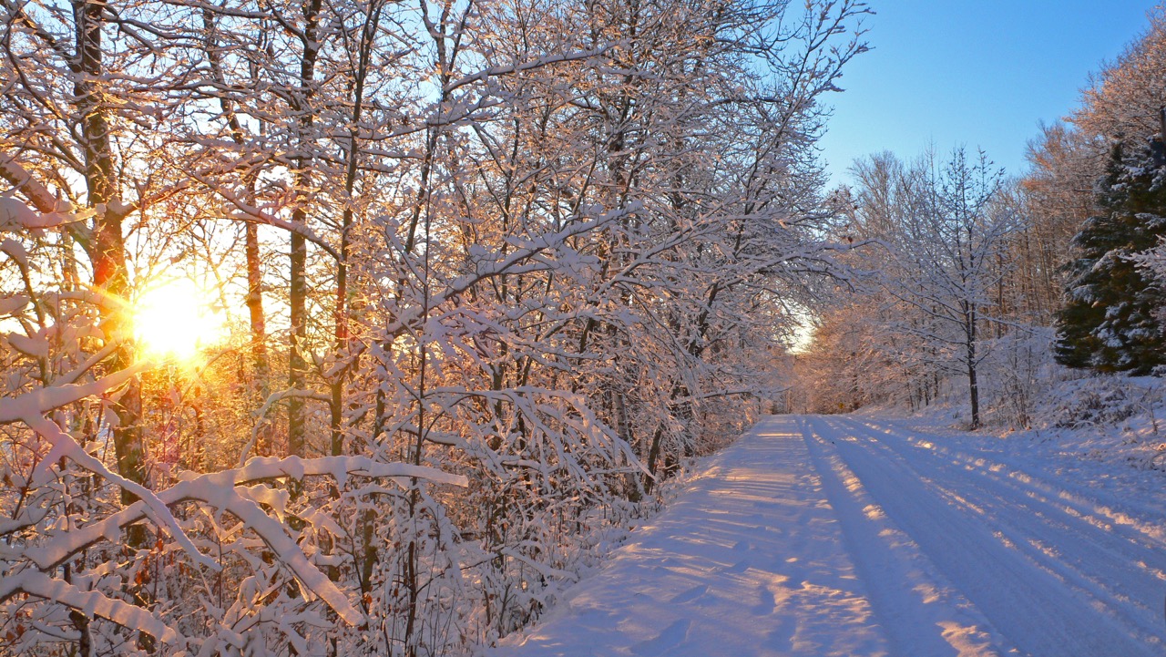 Minnesota Winter Wallpapers