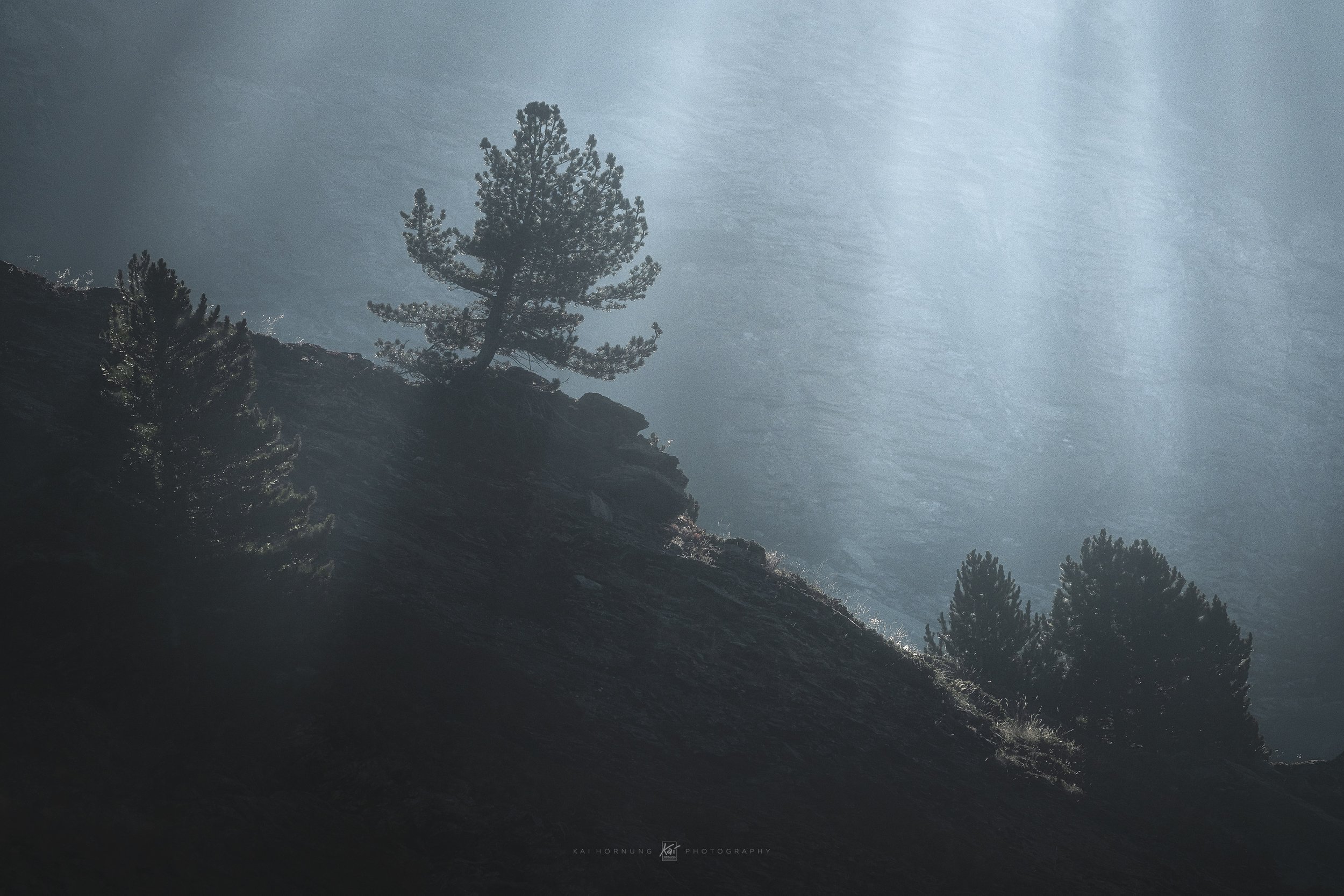 Misty Forest Photography 2021 Wallpapers