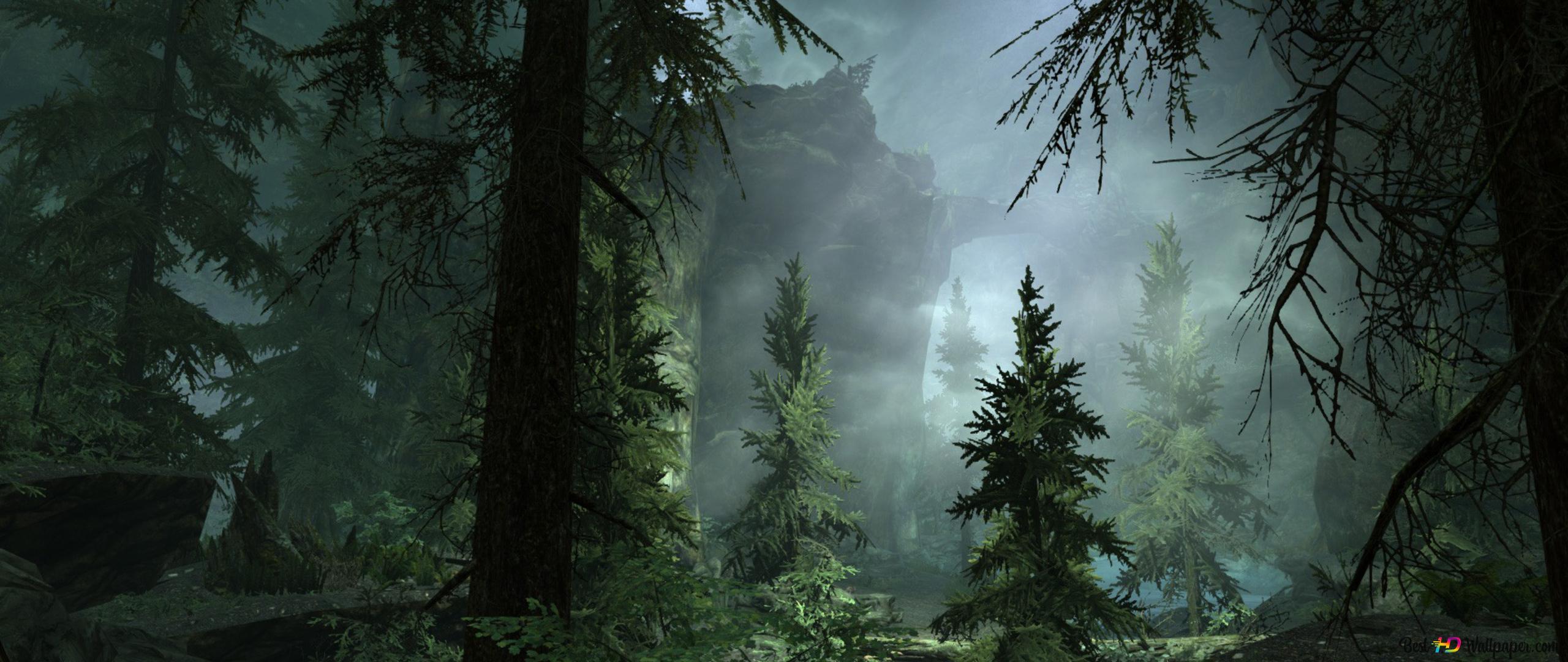 Misty Forest Wallpapers