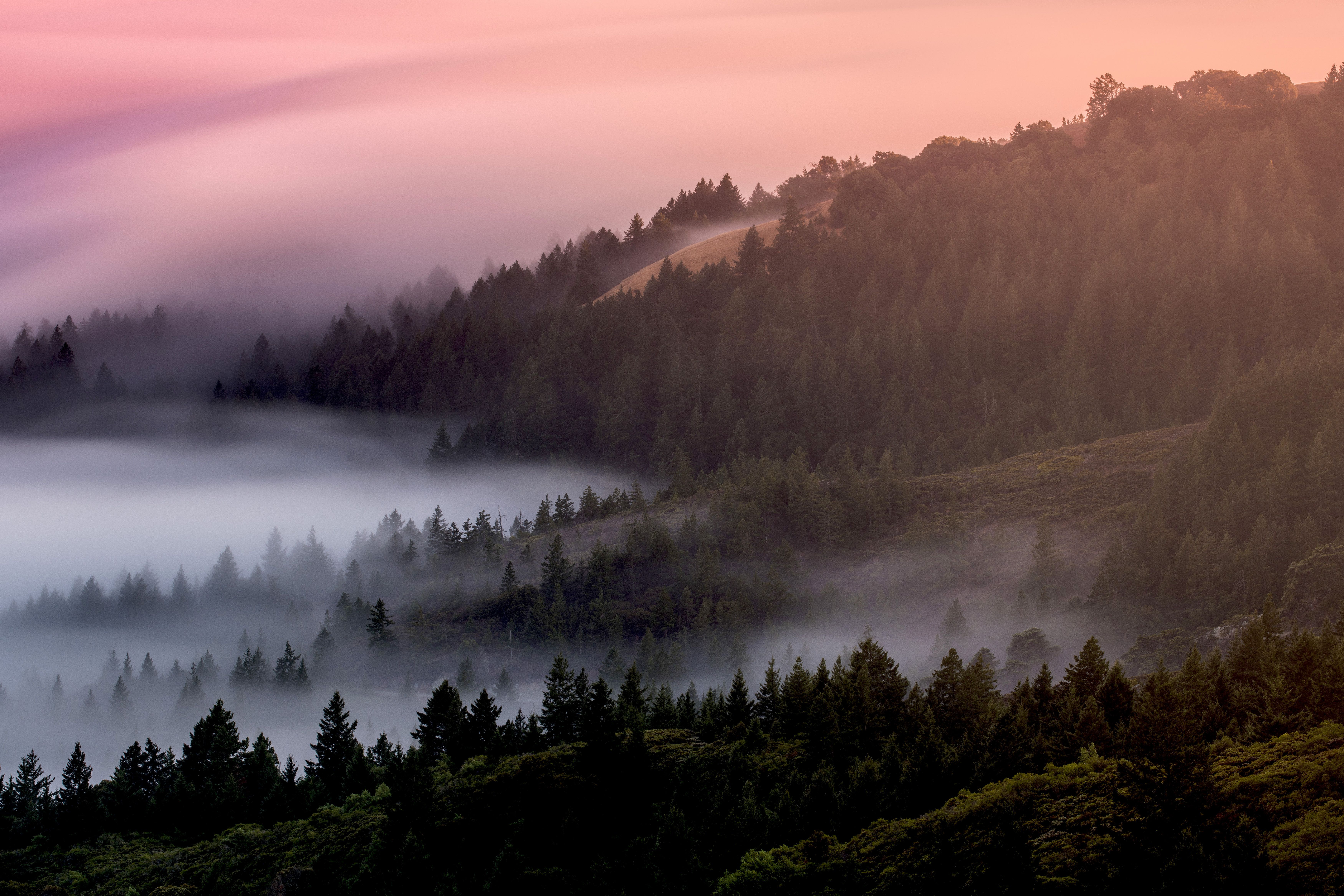 Misty Mountain Background