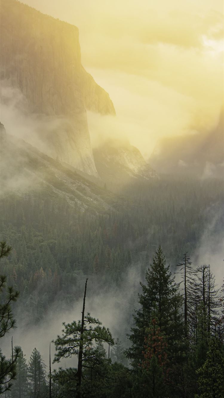 Misty Yosemite Wallpapers