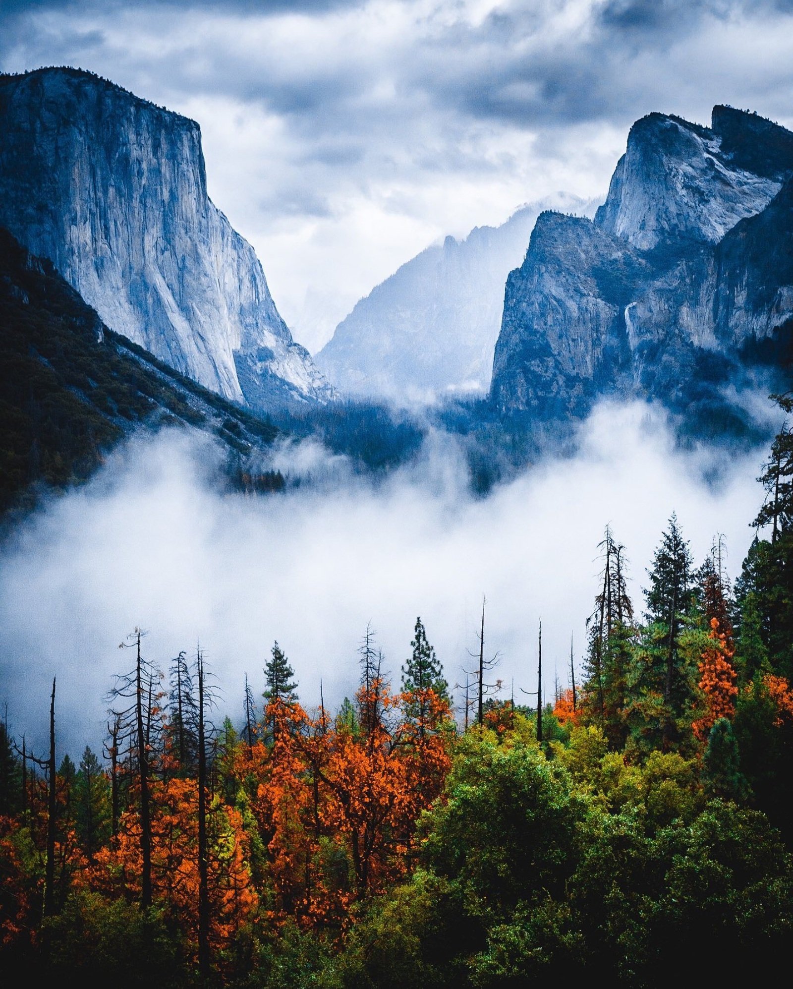 Misty Yosemite Wallpapers