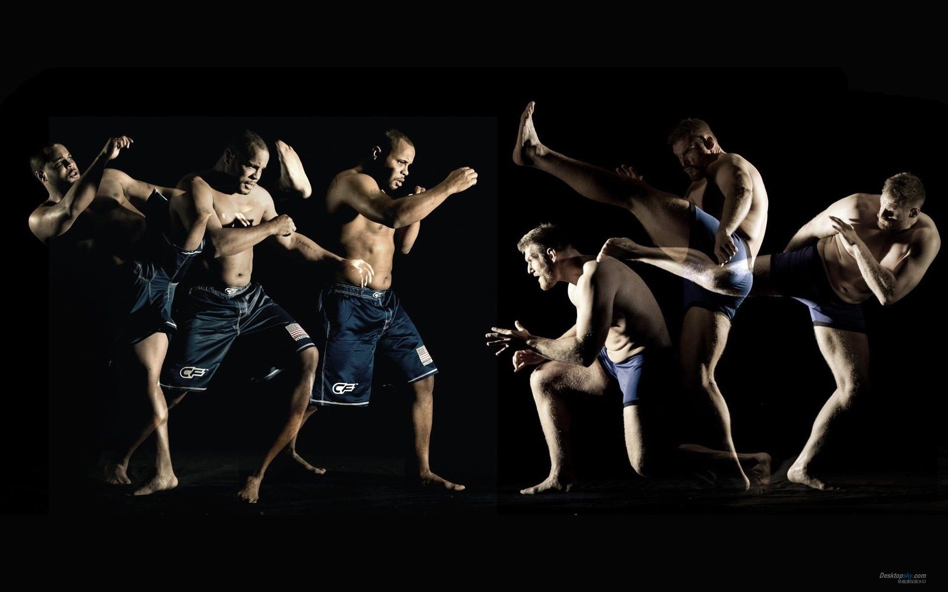 Mixed Martial Arts Wallpapers