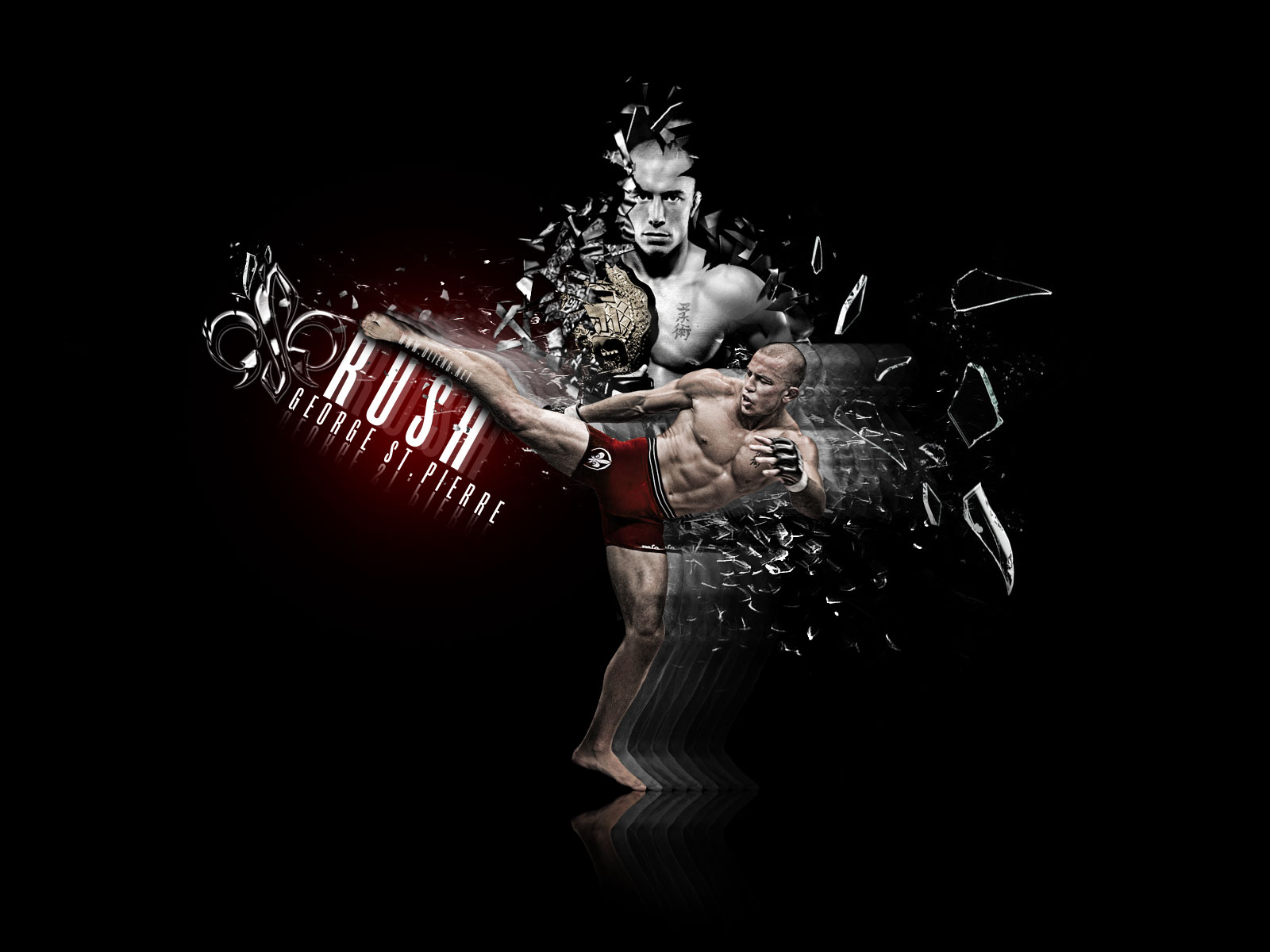 Mixed Martial Arts Wallpapers