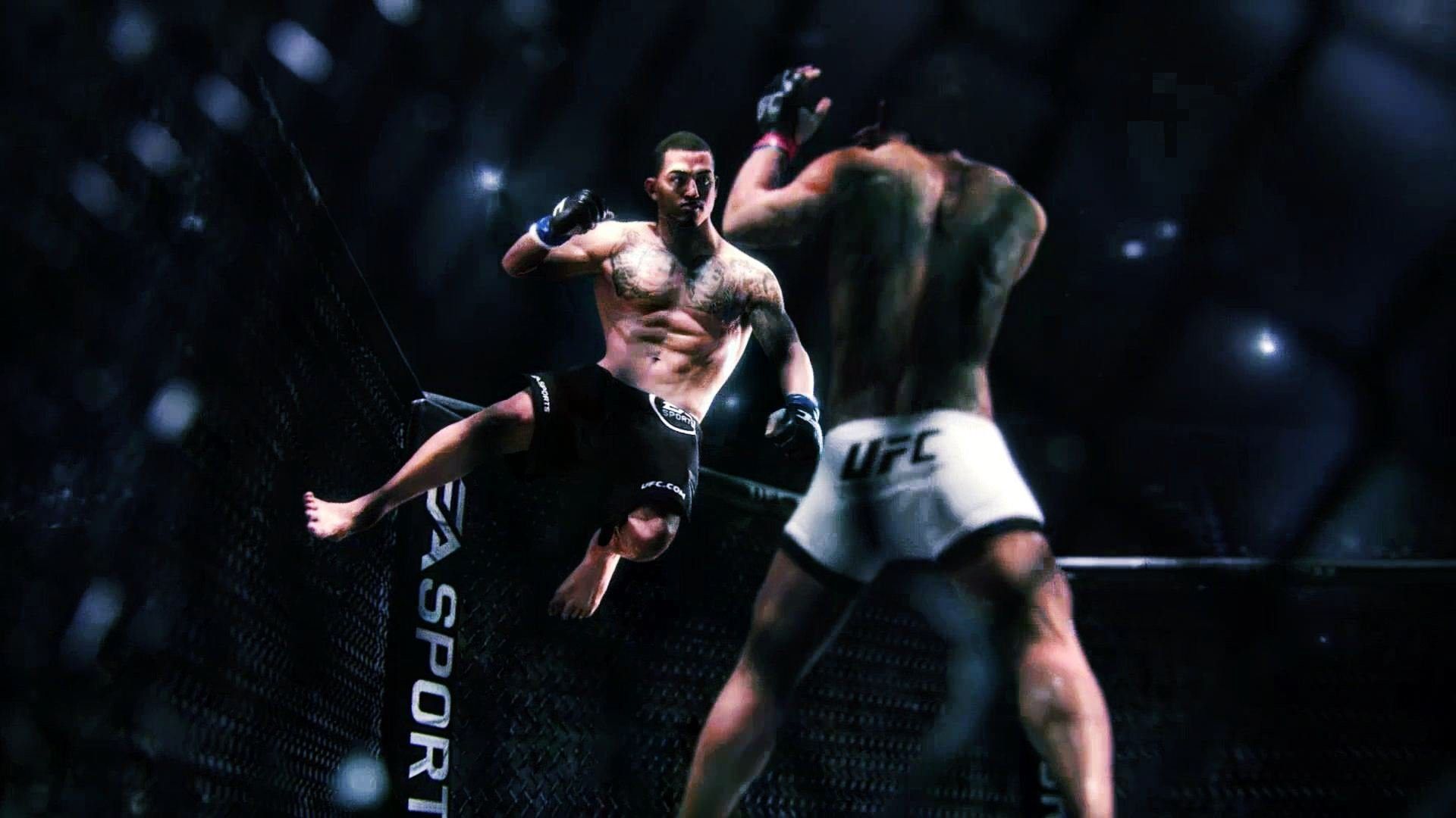 Mixed Martial Arts Wallpapers