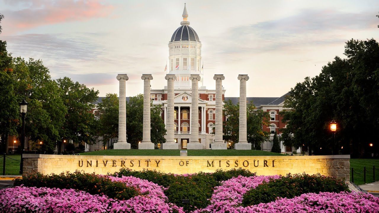 Mizzou Background