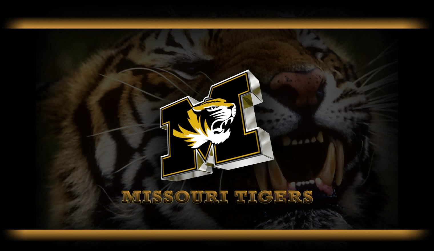 Mizzou Background