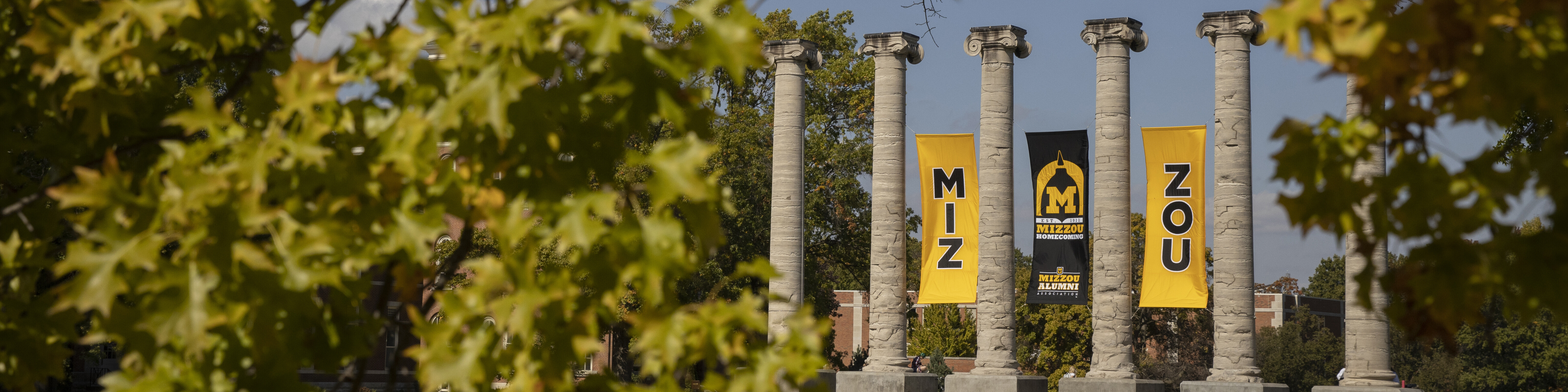 Mizzou Background