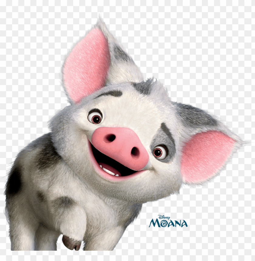 Moana Pig Wallpapers