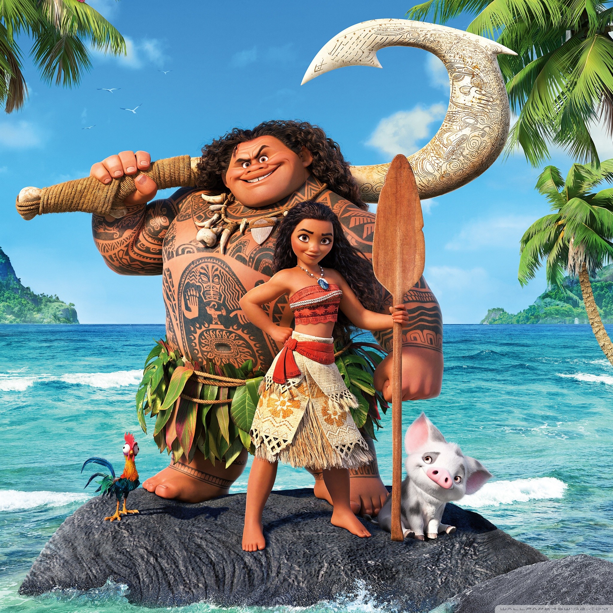 Moana Pig Wallpapers