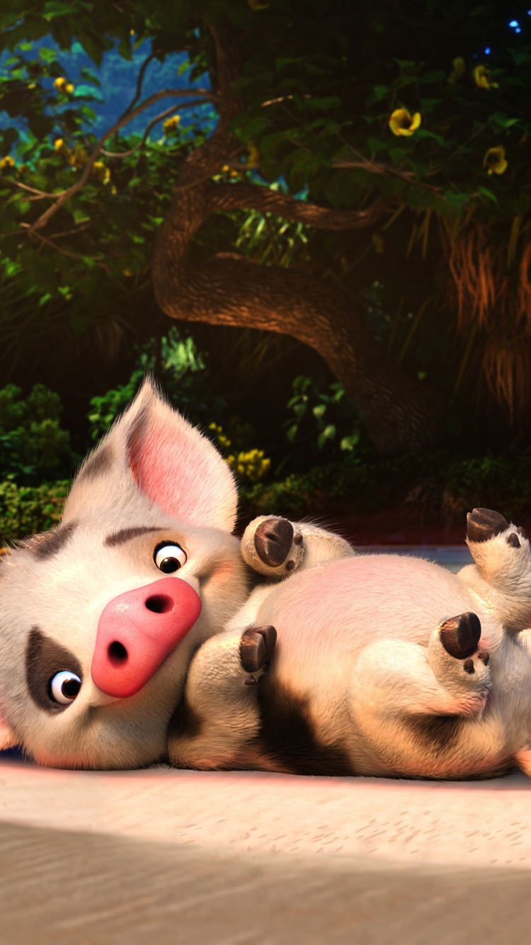 Moana Pig Wallpapers