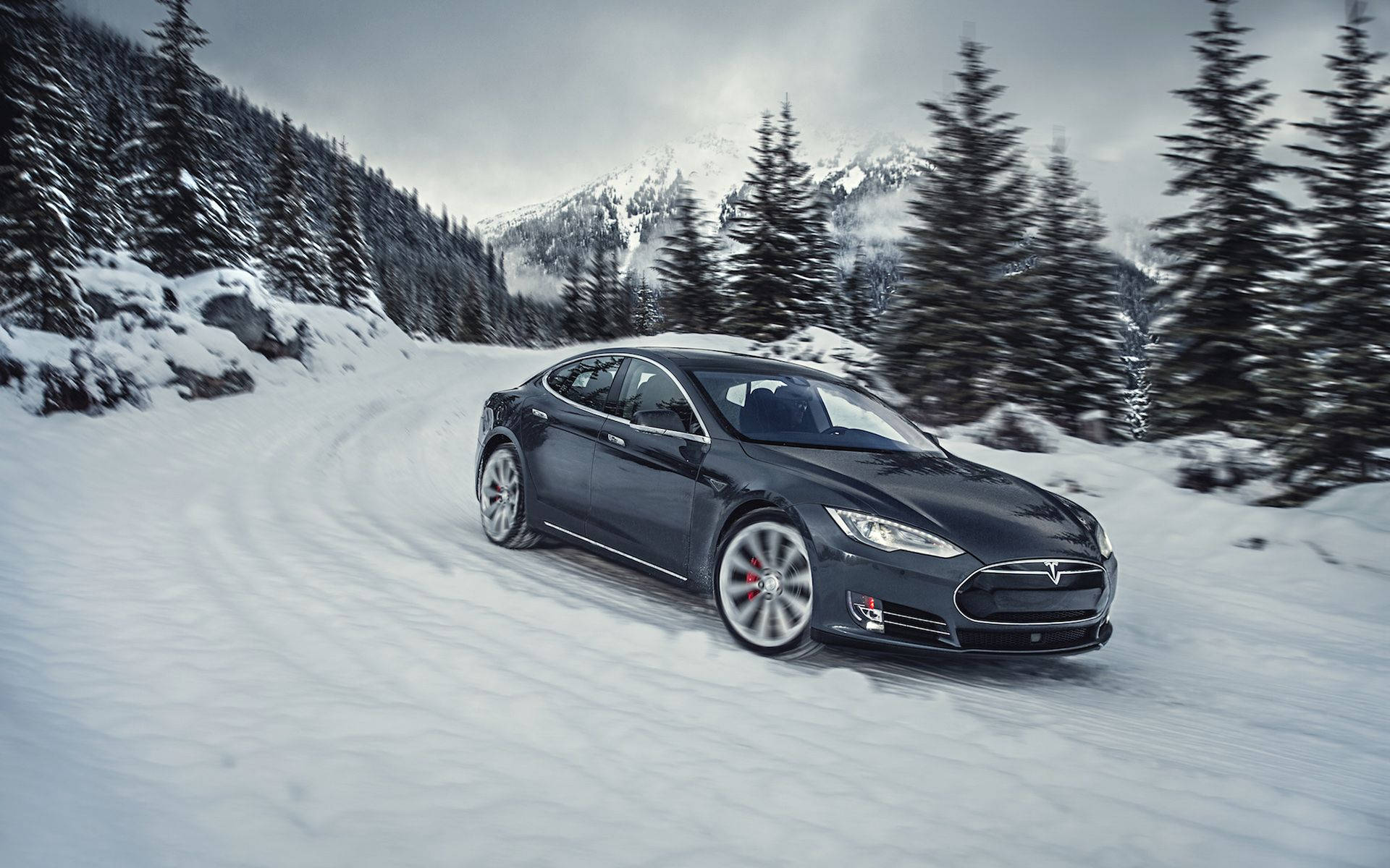 Model S Wallpapers