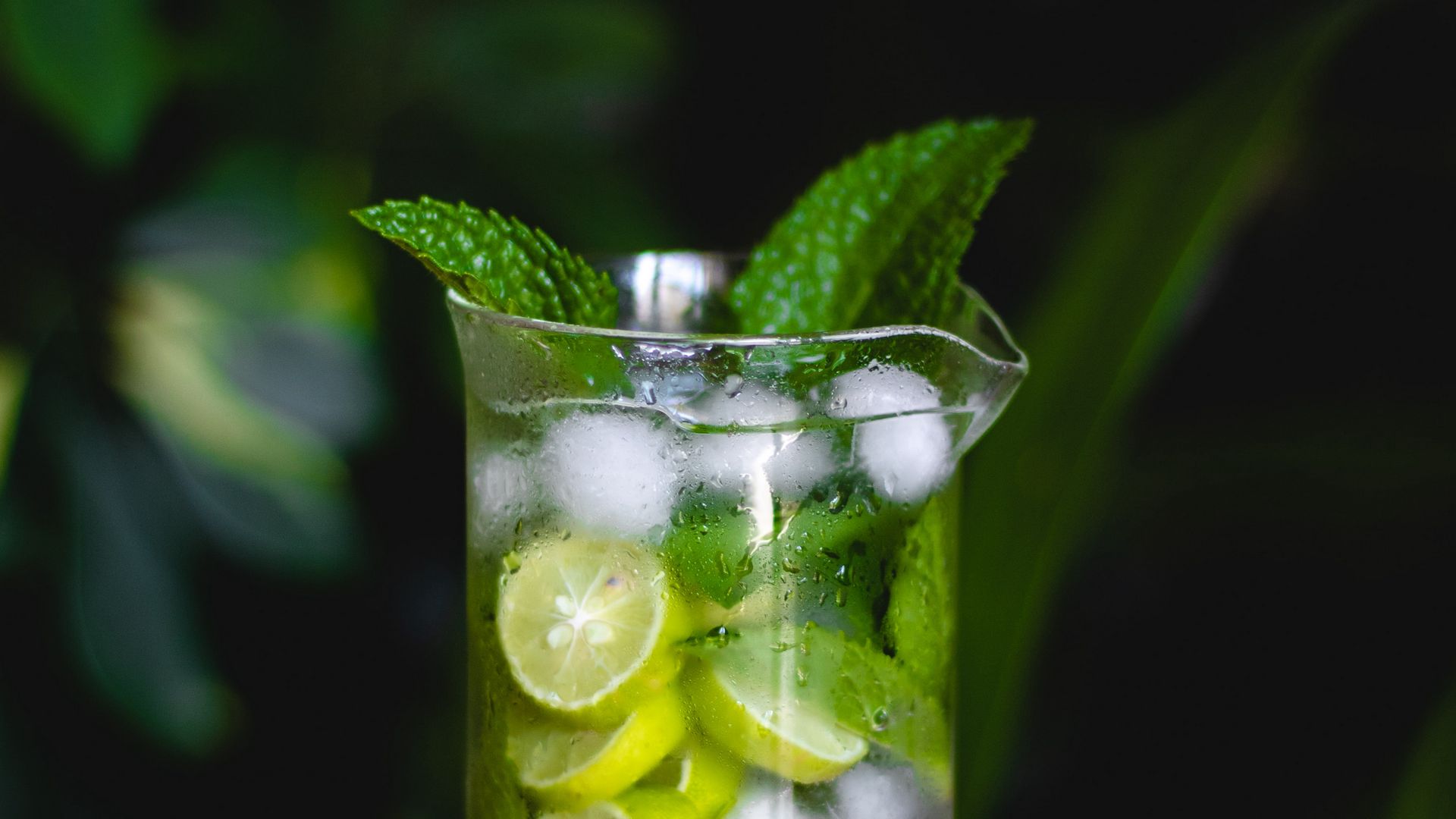 Mojito Wallpapers