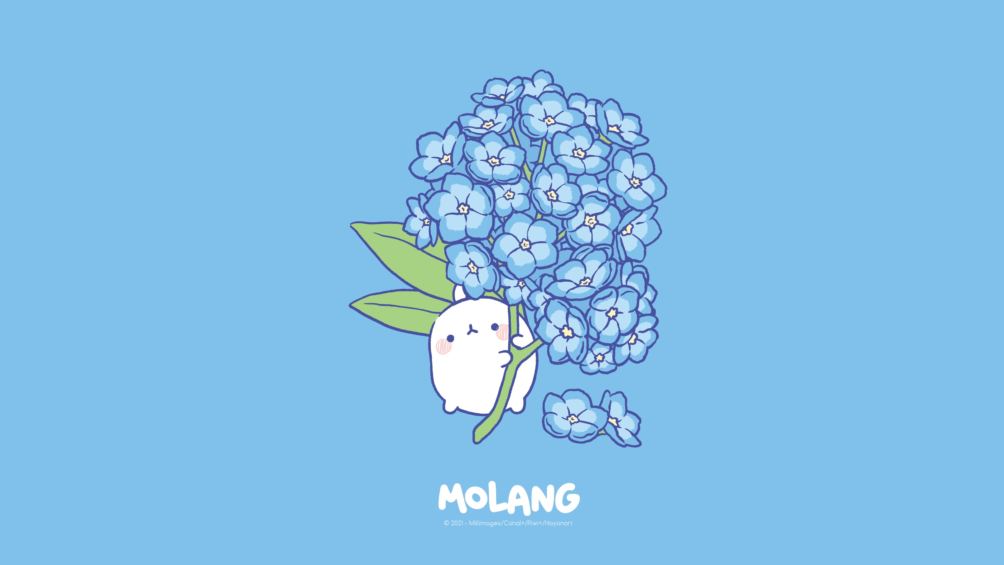 Molang Wallpapers