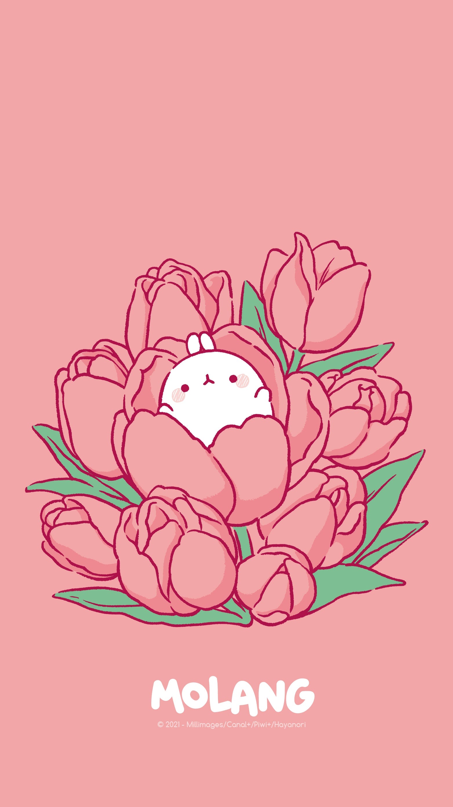 Molang Wallpapers