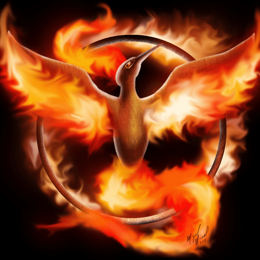 Moltres Hd Wallpapers