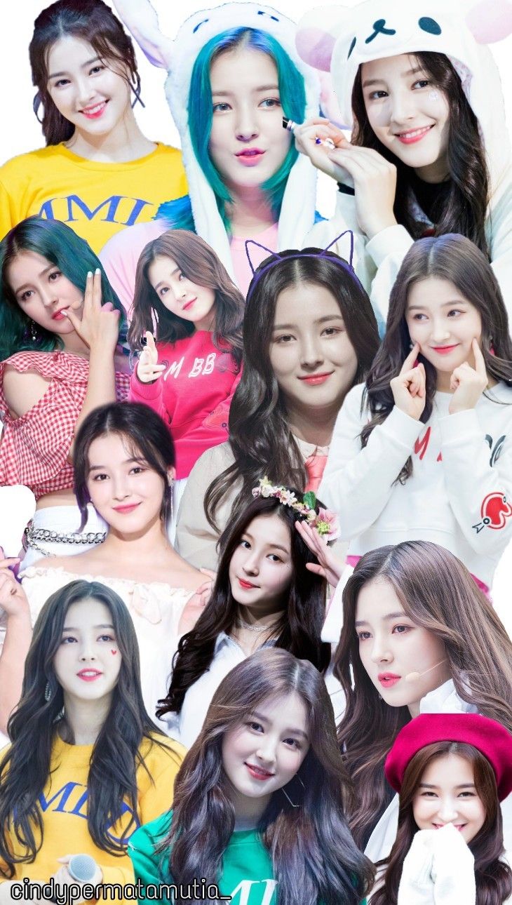 Momoland Wallpapers