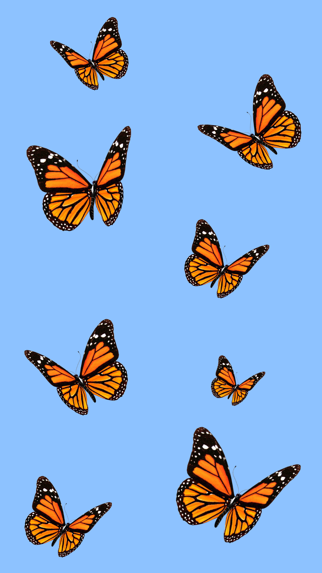 Monarch Butterfly Wallpapers