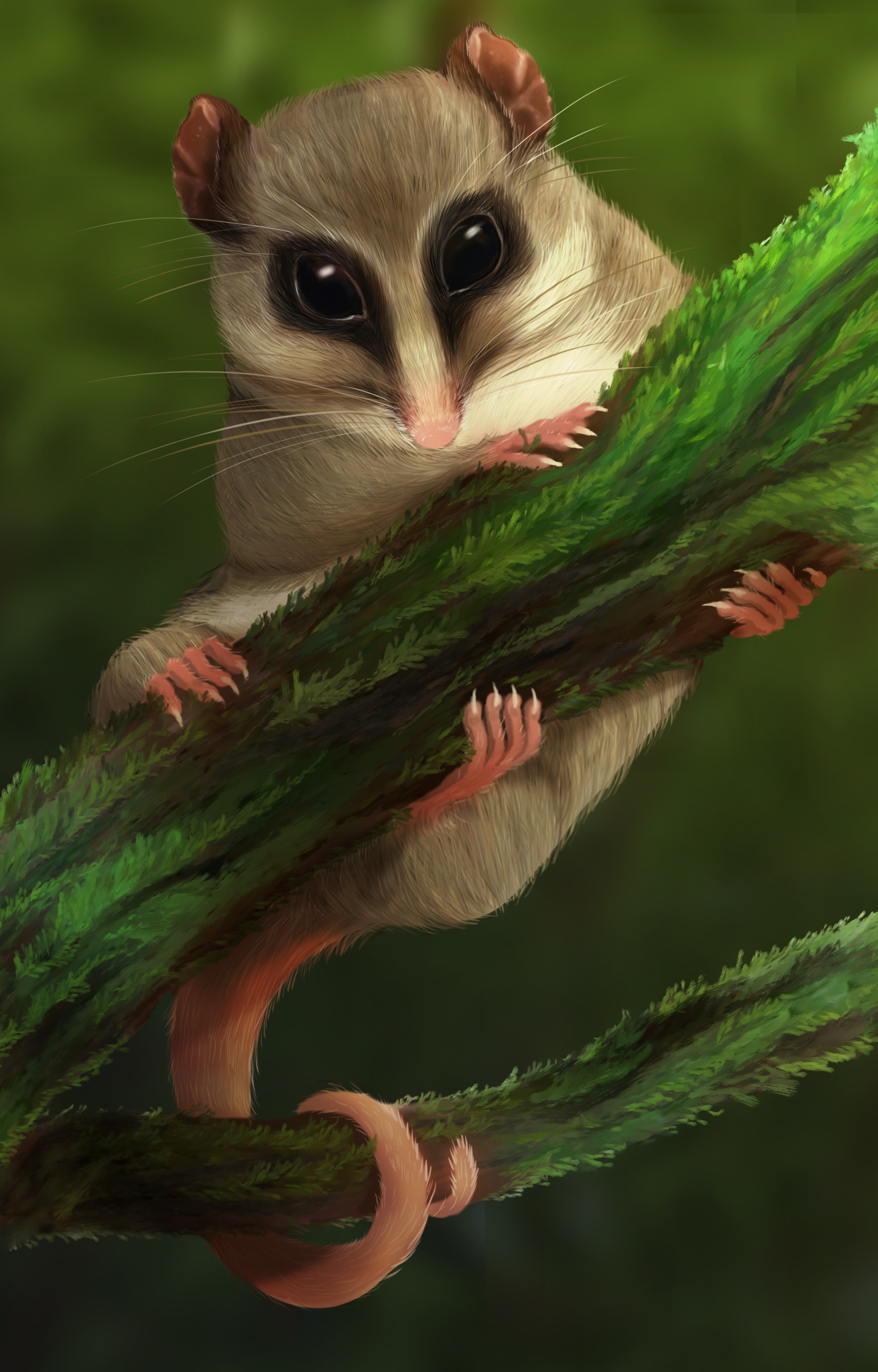 Monito Del Monte Wallpapers