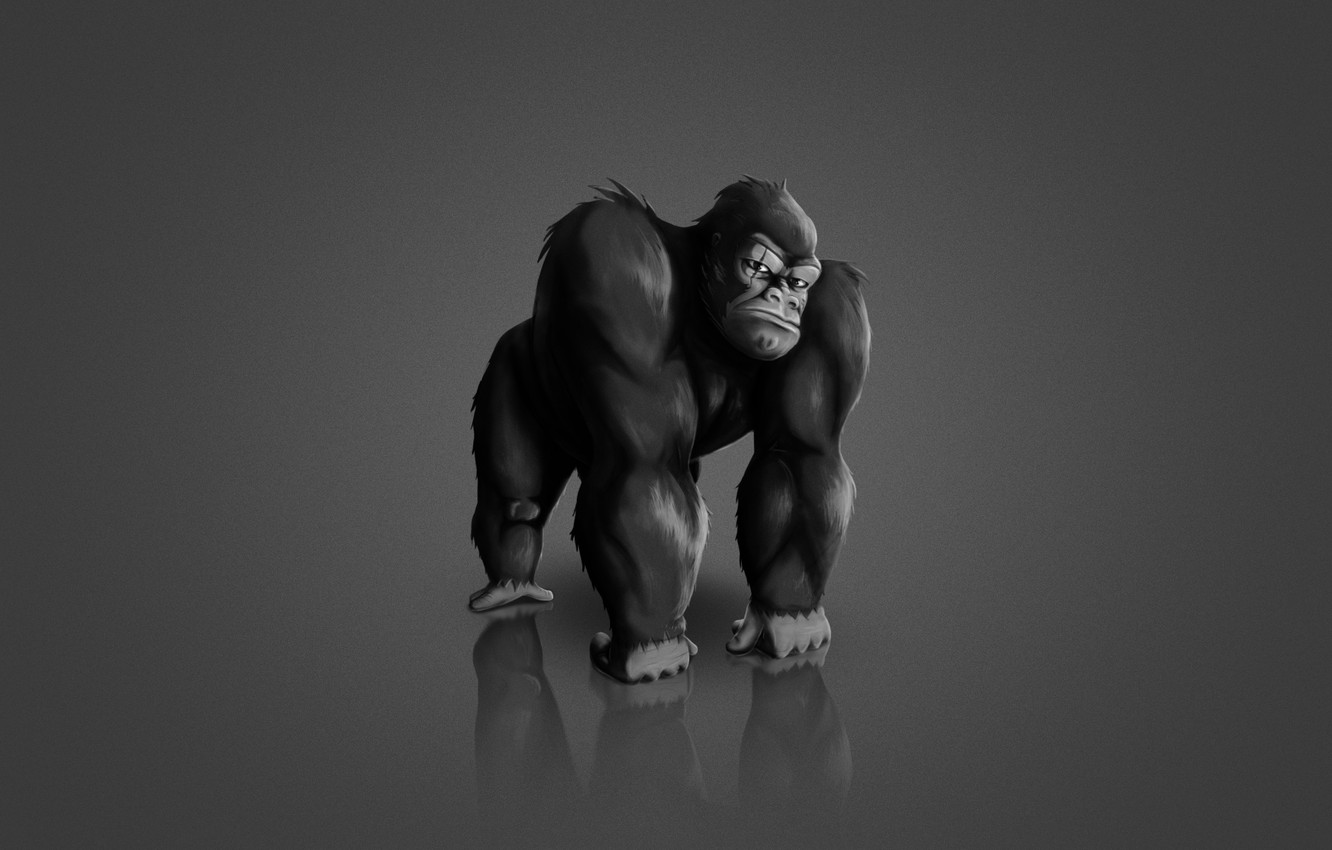 Monkey Minimalism Wallpapers