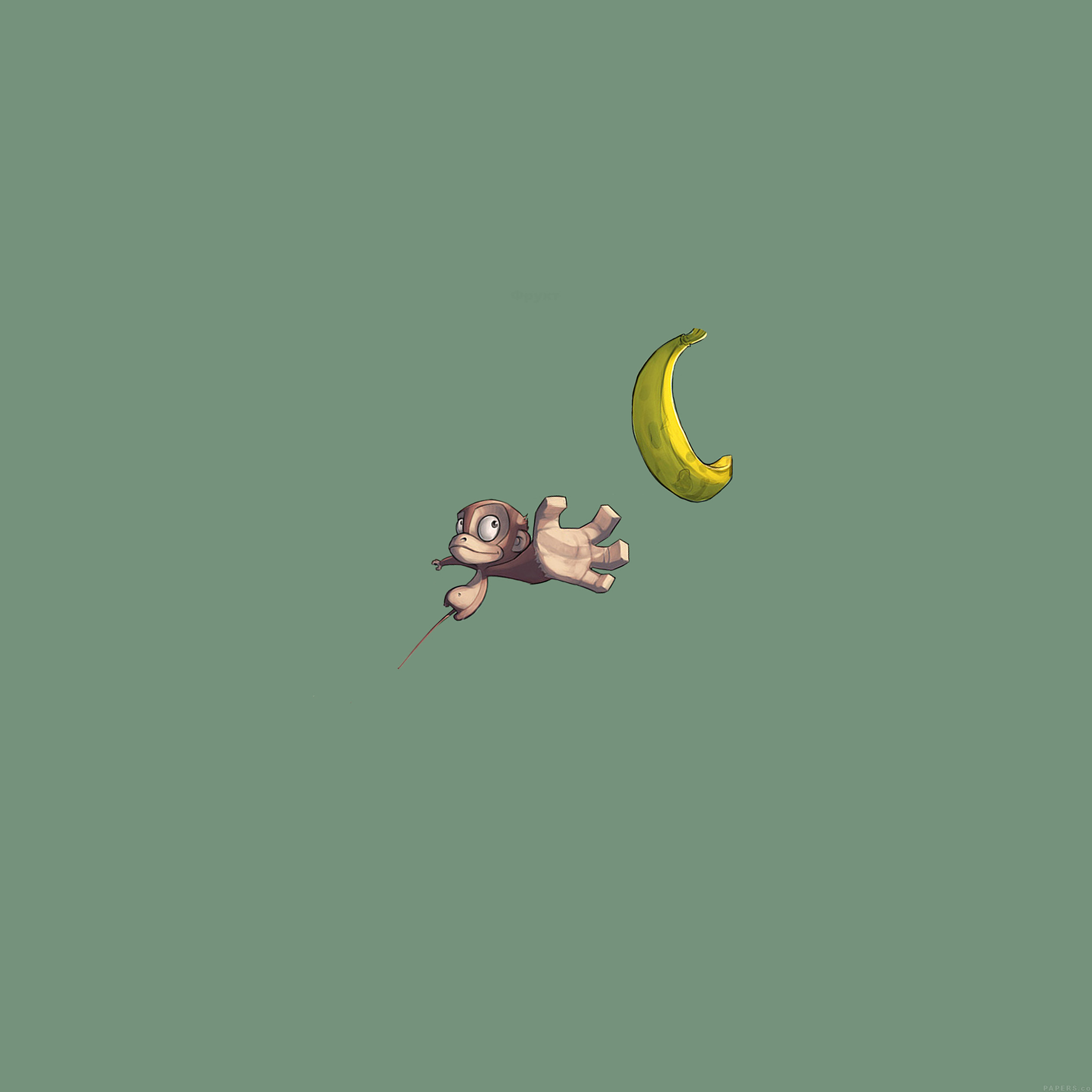 Monkey Minimalism Wallpapers