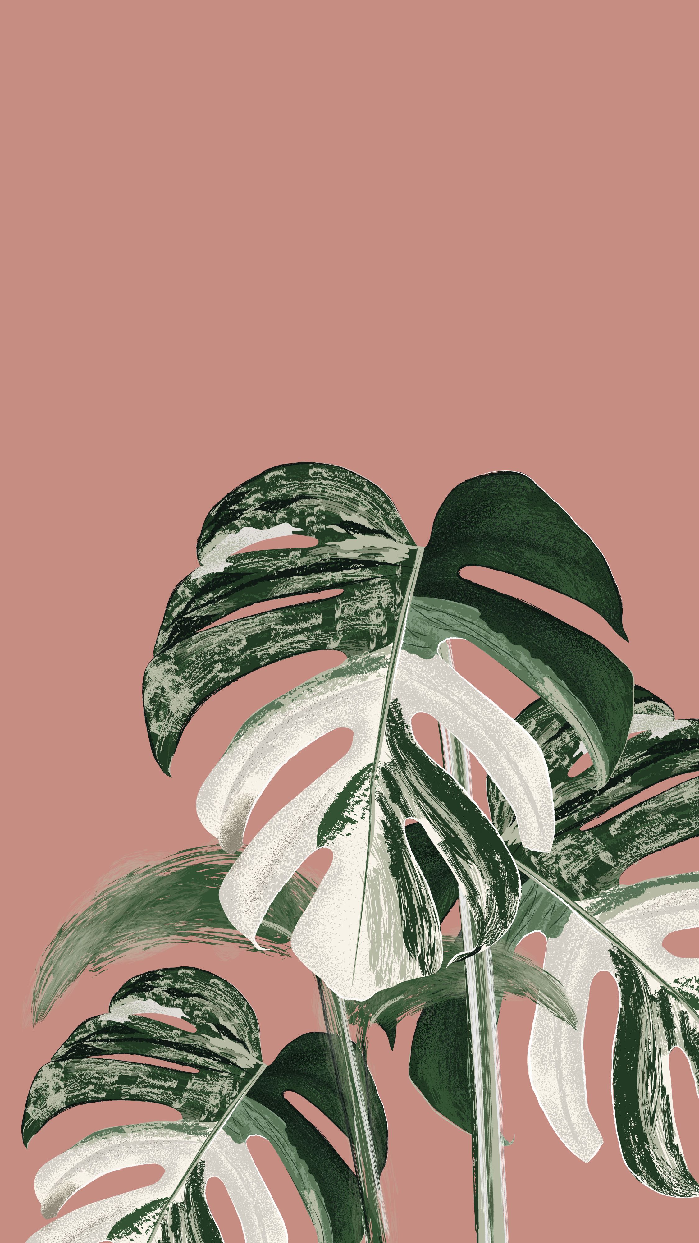 Monstera Iphone Background