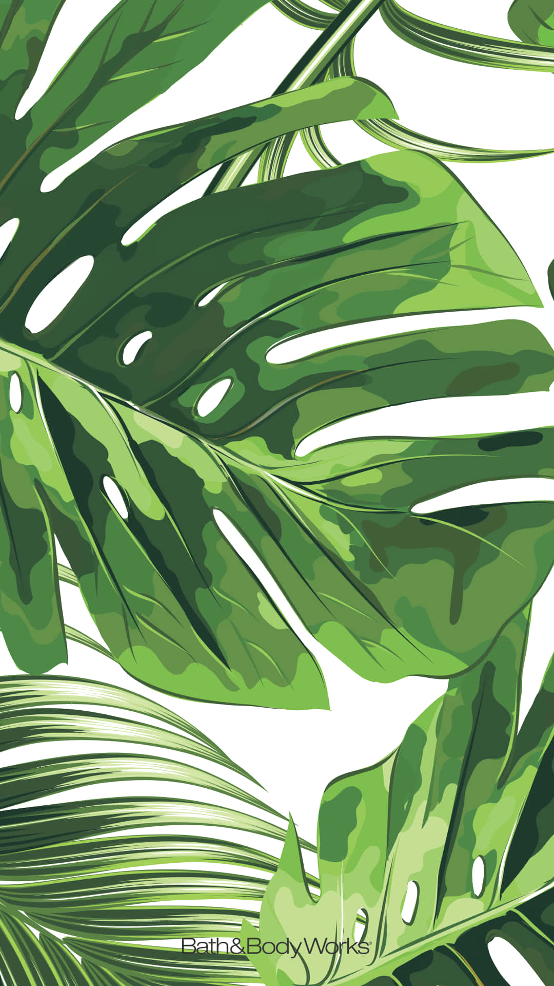 Monstera Iphone Background