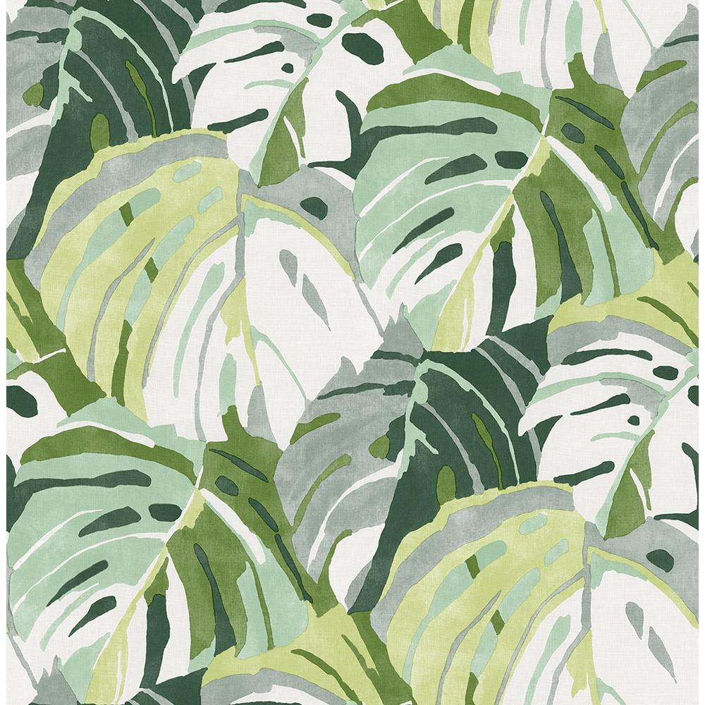 Monstera Iphone Background