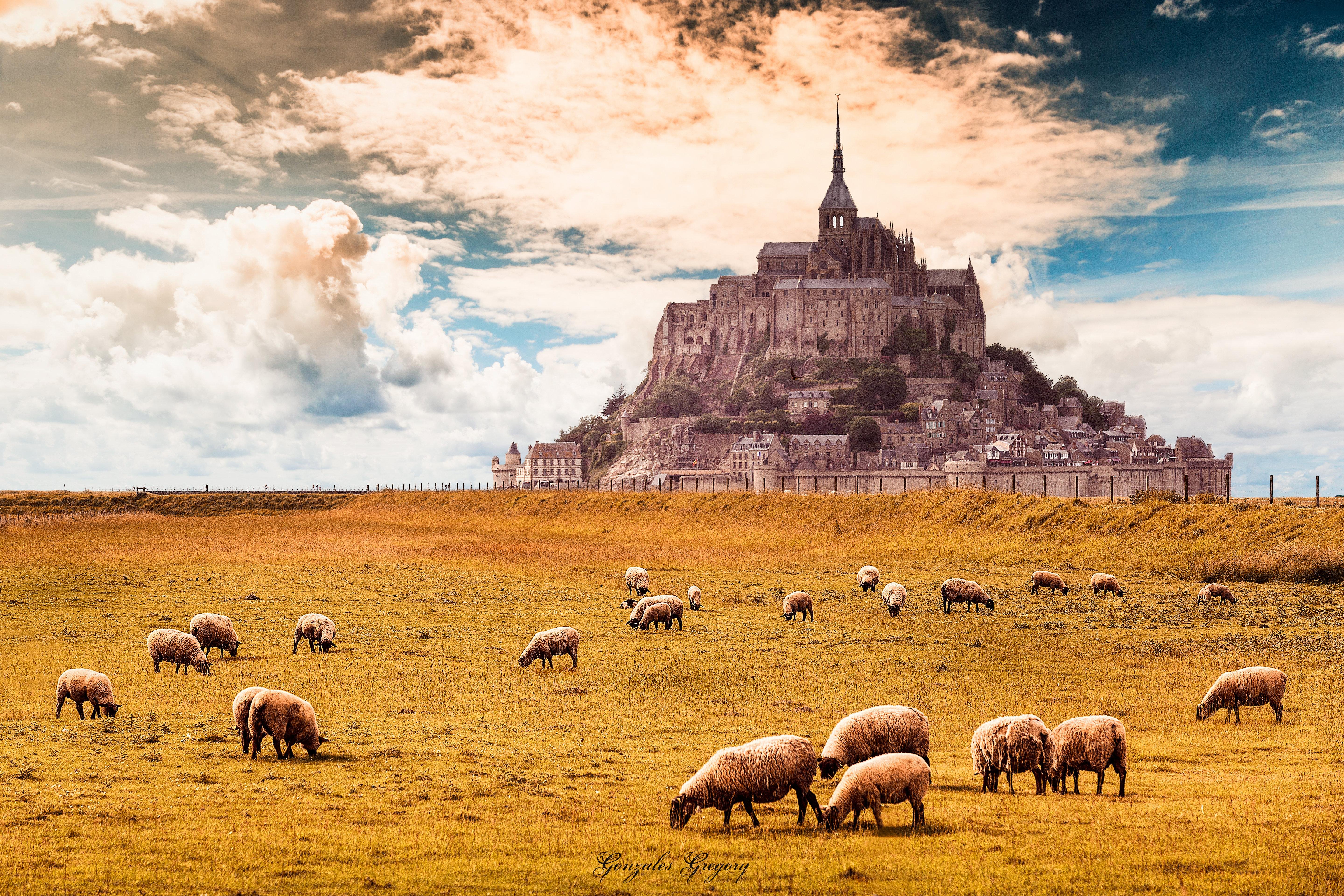 Mont Saint-Michel Landscape Wallpapers